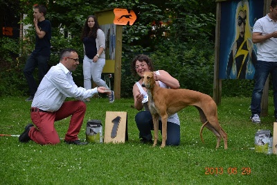 Inchydoney Memories - Ljuba, Championne Junior du Luxembourg !